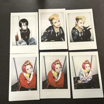 달콤한 폭력 폴라로이드 비주얼제 2025