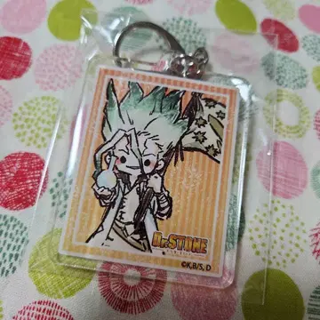 Dr.STONE 그래프 아트 아크릴 키링 이시가미 센쿠