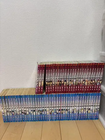 테니스의 왕자님 전권 & 신 테니스의 왕자 복수권