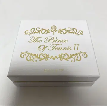 유키무라 세이이치 벌스데이 반지 9호