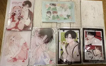 언니와 스이군 전 종류 세트