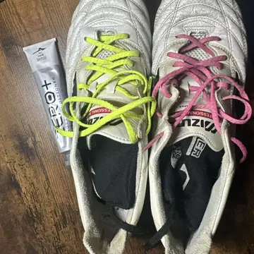 모렐리아 네오 초대와 광택