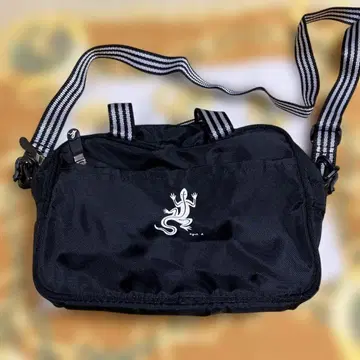 아네스베 숄더백