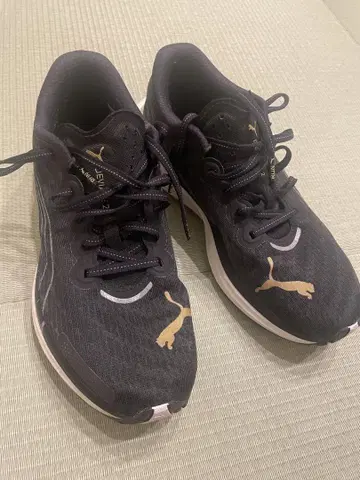 디비에이트 나이트로 2