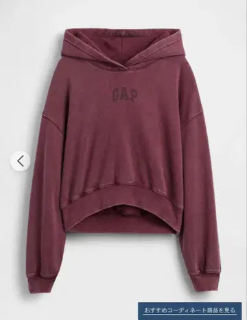빈티지 소프트 GAP 아치 로고 크롭 후드티