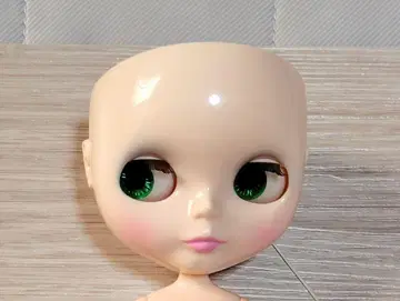 브라이스 겔다이터니티 페이스+바디 새상품급