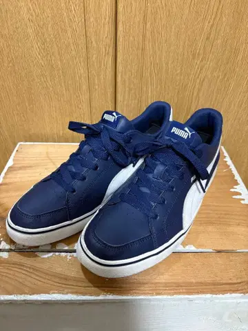 PUMA COURT POINT
