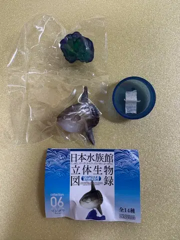 일본 수족관 입체 생물 도록 단품 [개복치] 카이요도 가챠