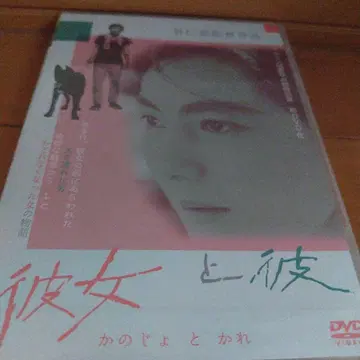 [ 미개봉품 ] 그녀와 그 ('63 이와나미 영화)