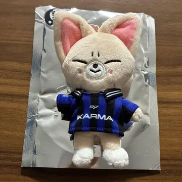 straykids KARMA skzoo 폭시니
