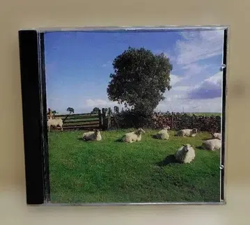 the klf Chill Out CD 수입반.