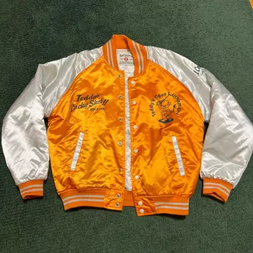 Ted Company 스카잔