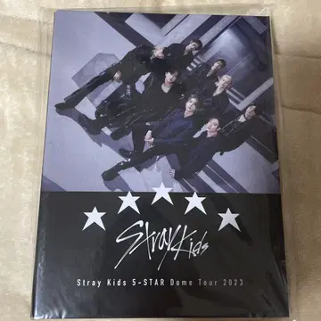 StrayKids 트레이딩 카드 케이스