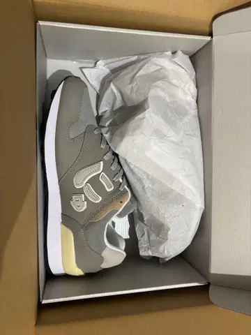 SANGACIO 뉴즈 [ GRAY ] 10주년 한정판 모델