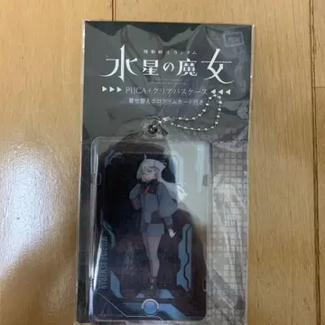 PIICA 클리어 패스 케이스 미오리네