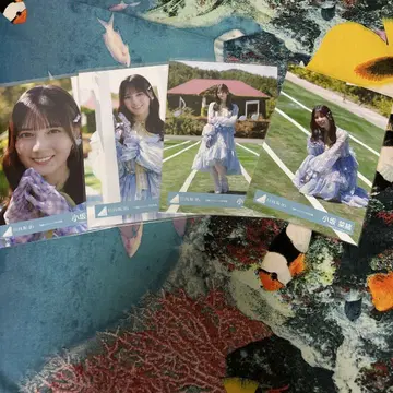 히나타자카46 코사카 나오 [ 부탁 바흐! ] MV 의상 4종 컴프