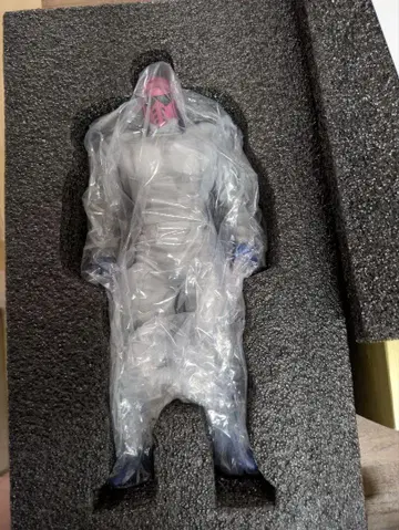 CCP 미스테리안 파트너 장인 사양 원작 컬러 레진 캐스트판