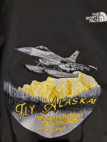 The North Face Apex Bionic Jacket 미군