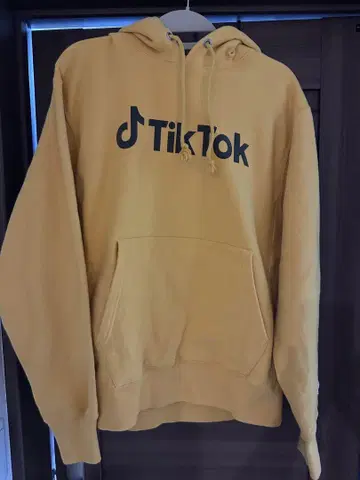 Champion REVERSE WEAVE TikTok