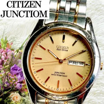 작동 시티즌 정크 CITIZEN 데이트 솔라 시계 E100
