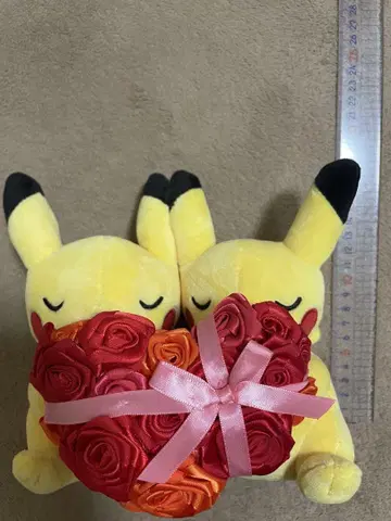 봉제 인형 먼슬리 페어 피카츄 2017년 2월 포켓몬 센터 한정판