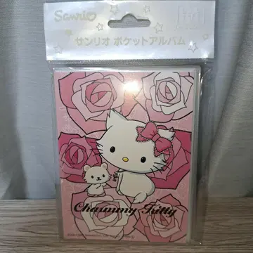 초레어 당시물 헤이세이 레트로 SANRIO  포켓 앨범