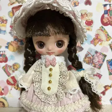 미니 브라이스 커스텀