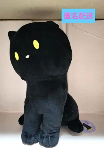 검은 고양이 롱과 함께 살면 검은 고양이 롱 1개