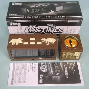 캐러파키 발굴 공룡 발굴 타이머