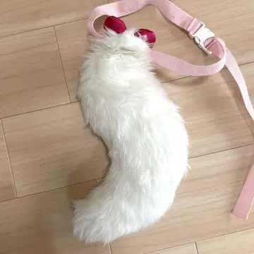 마리 꼬리