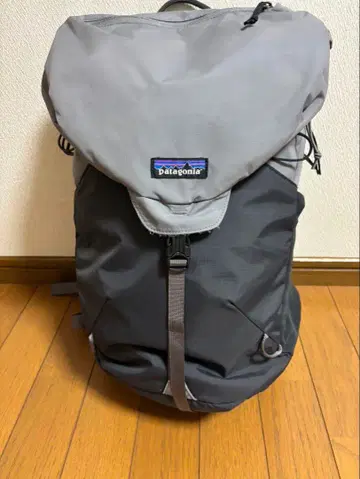 Patagonia 백팩