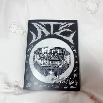 Stray Kids JATE 앨범 포토 카드 포함