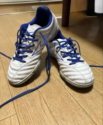 미즈노 축구 트레이닝 슈즈 모나르시다 neo 21.5