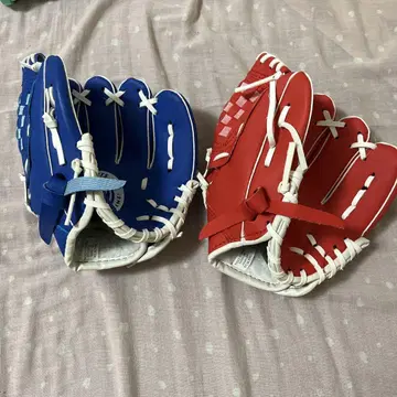 키즈 그로브