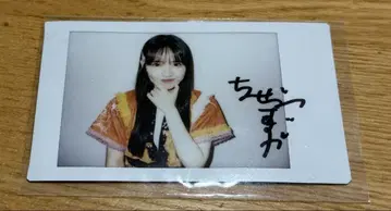 진세이 스즈카 친필 사인 폴라로이드
