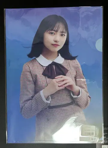 히나타자카46 쇼겐지 요코 클리어 파일 신참자