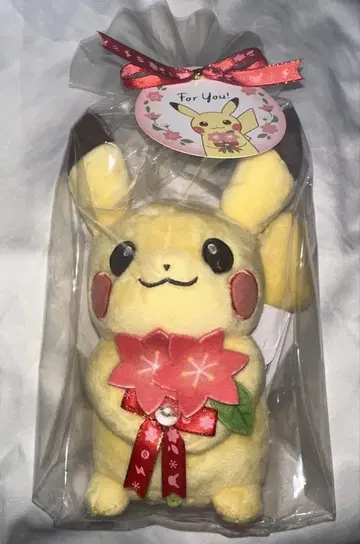 봉제 인형 For You! 피카츄와 글라시데아 꽃