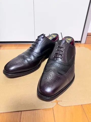 SCOTCH GRAIN ARC AN1920 초코 콤비 24.5cm 3E