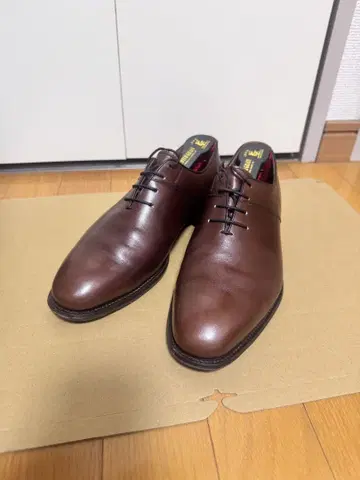 SCOTCH GRAIN 베가노클라시코 2824 브라운 24.5cm EE