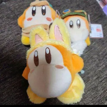 와돌디 여우 커비 카페