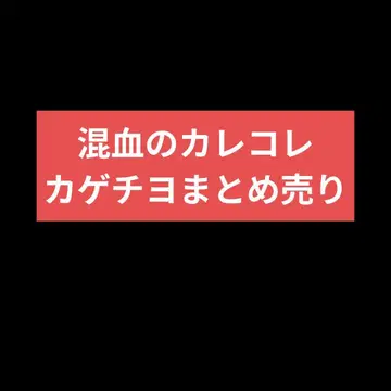 혼혈의 카레콜레 카레콜레야 카게치요 묶음 판매 캔뱃지 아크릴 스탠드 키링