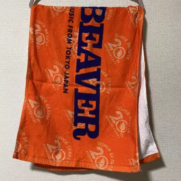 [ 즉시 구매 ] SUPER BEAVER 20주년 기념 타월 2025