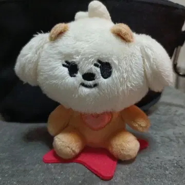 TXT 범규 앉아 키링