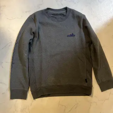 patagonia 그레이 맨투맨