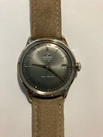 Orient Bambino38 RN-AC0M13N 스토어 한정판 모델