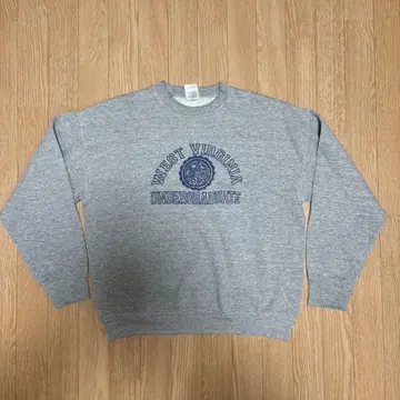 90s 프룻 오브 더 룸 빈티지 맨투맨 USA제