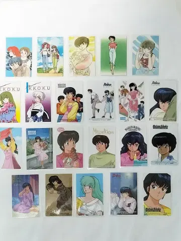 메종 일각 라미네이티드 카드 22장 세트 카세트 인덱스