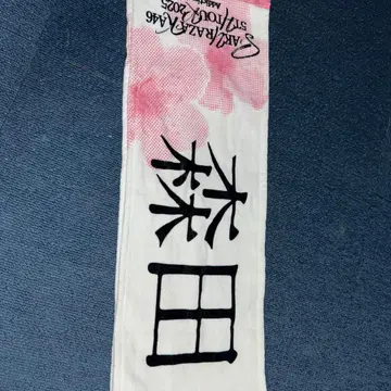 모리타 히카루 타월
