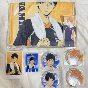 하이큐 극락탕 카게야마 히나타