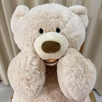 코스트코 곰 봉제 인형